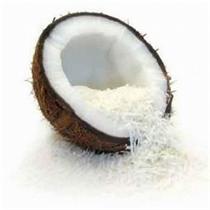 Desiccated Coconut Powder